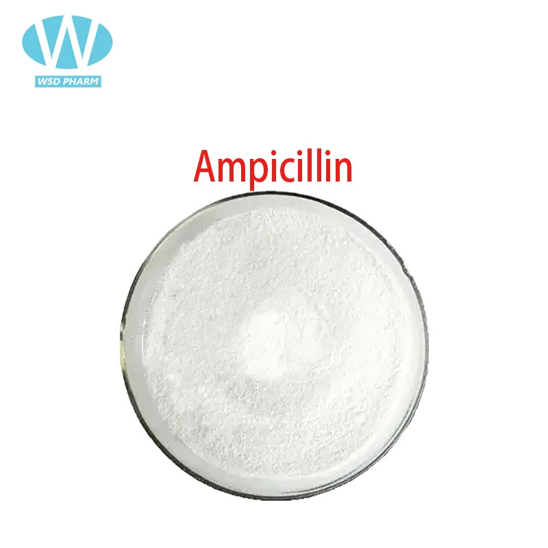 Ampicillin